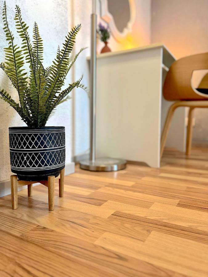 Elbling Apartment Mit Terrasse - Netflix - Parkplatz - Weinbergblick Meißen Eksteriør bilde